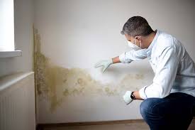 Professional Mold Remediation in Oak Grove, AL